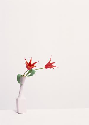 長く使い続けることが出来るダネーゼ